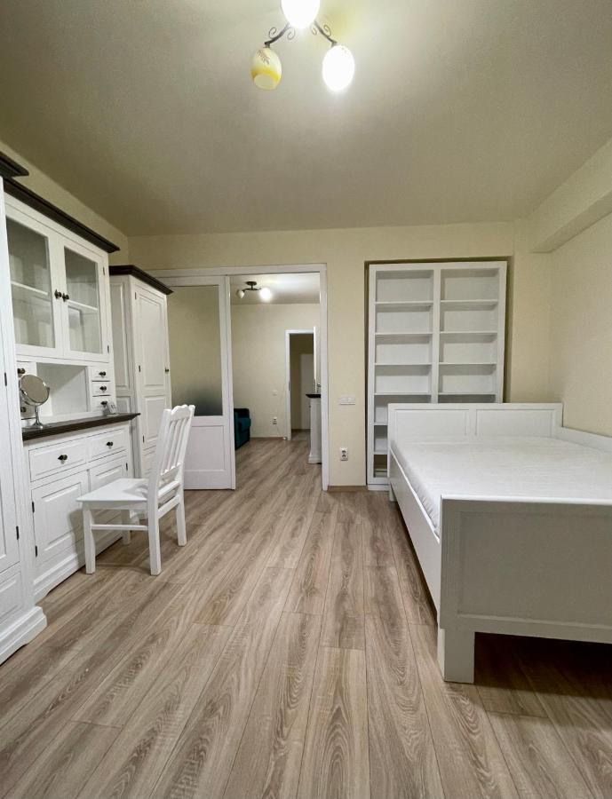 Cozy Central One Bedroom Клуж-Напока Экстерьер фото